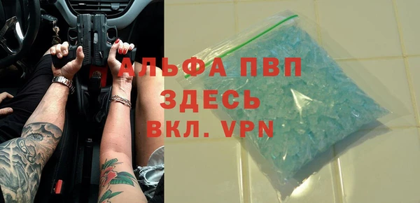 ПСИЛОЦИБИНОВЫЕ ГРИБЫ Инсар