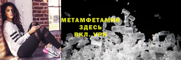 ПСИЛОЦИБИНОВЫЕ ГРИБЫ Инсар