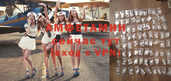 ПСИЛОЦИБИНОВЫЕ ГРИБЫ Инсар