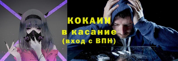 ПСИЛОЦИБИНОВЫЕ ГРИБЫ Инсар