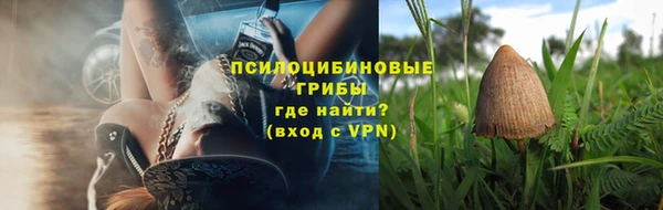 ПСИЛОЦИБИНОВЫЕ ГРИБЫ Инсар