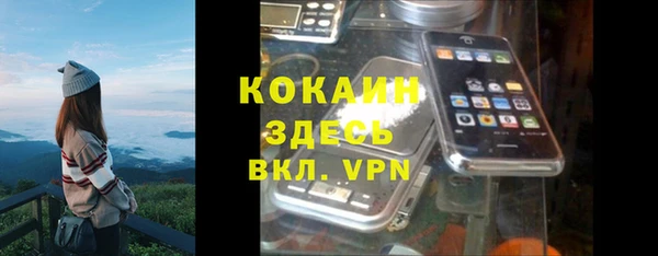 ПСИЛОЦИБИНОВЫЕ ГРИБЫ Инсар