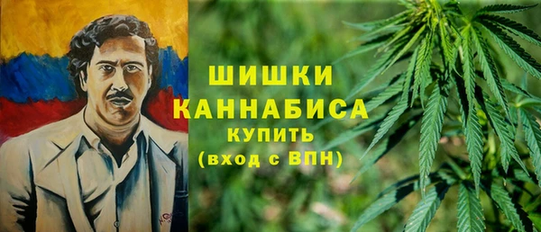 ПСИЛОЦИБИНОВЫЕ ГРИБЫ Инсар