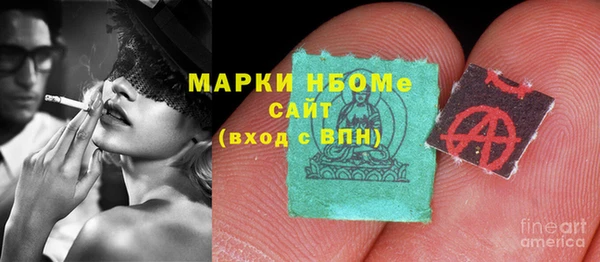 ПСИЛОЦИБИНОВЫЕ ГРИБЫ Инсар